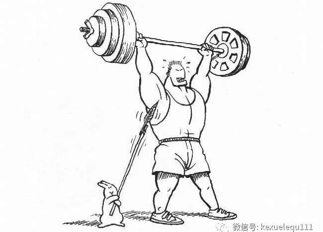 杀死兔子的方法,杀死兔子有什么后果