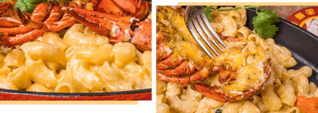 拳击猫精酿啤酒餐吧优惠套餐,拳击猫啤酒旗舰店