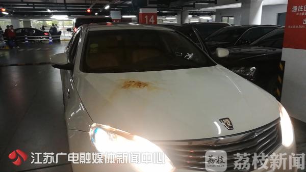 神秘客接待注意事项,神秘访客要怎么玩