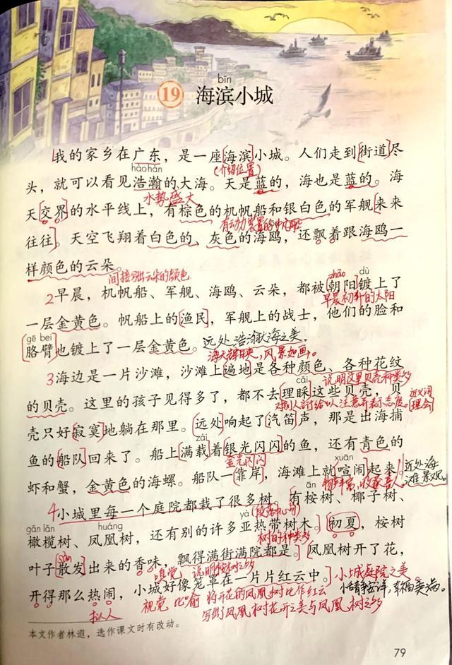 人教版三年级语文海滨小城讲解,三年级语文海滨小城课文讲解重点