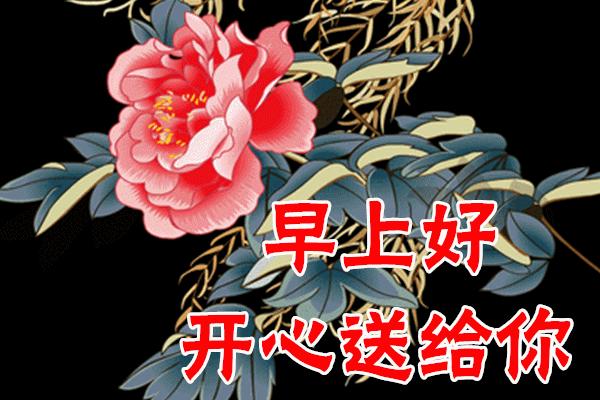 11月21日早安心语正能量句子,2021年早安心语正能量一句话