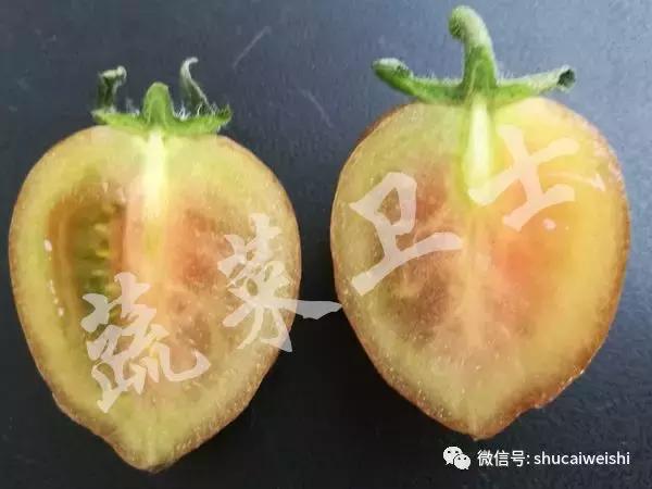 番茄花脸用啥治疗最快,番茄花脸果怎么形成的