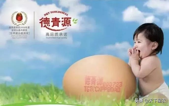 山东德青源鸡蛋基地,德青源农业扶贫