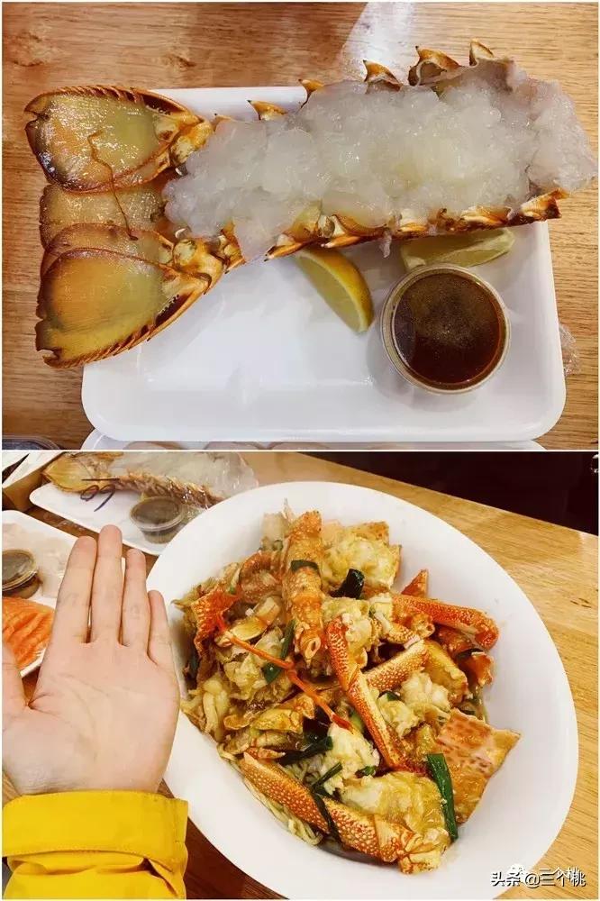 澳洲十二天自由行攻略,澳洲旅游12天自由行攻略