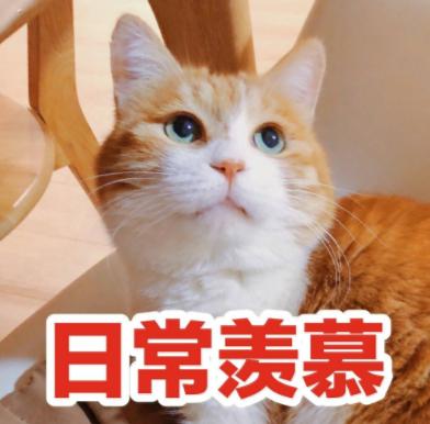 花园里办公,花园里办公室设计