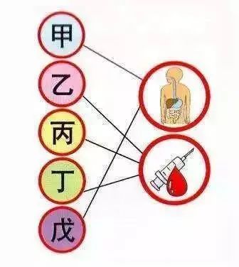 【世界肝炎日】家有“心肝”宝贝，小心儿童病毒性肝炎“肝”扰【呱呱教·151】