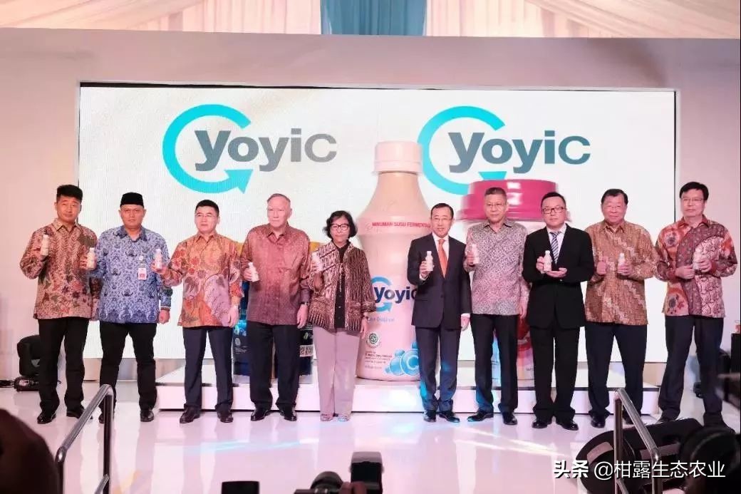 国货出海项目是真的吗,国货品牌何去何从