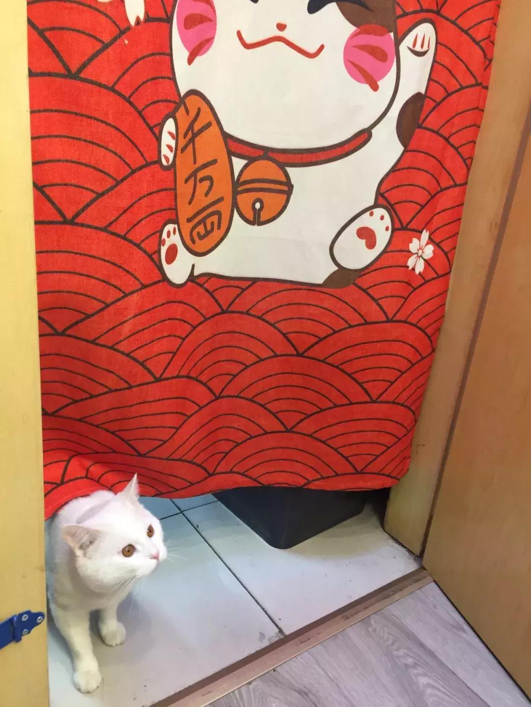 北京南锣鼓巷东一公里打卡地,北京南锣鼓巷旅游攻略必玩的景点