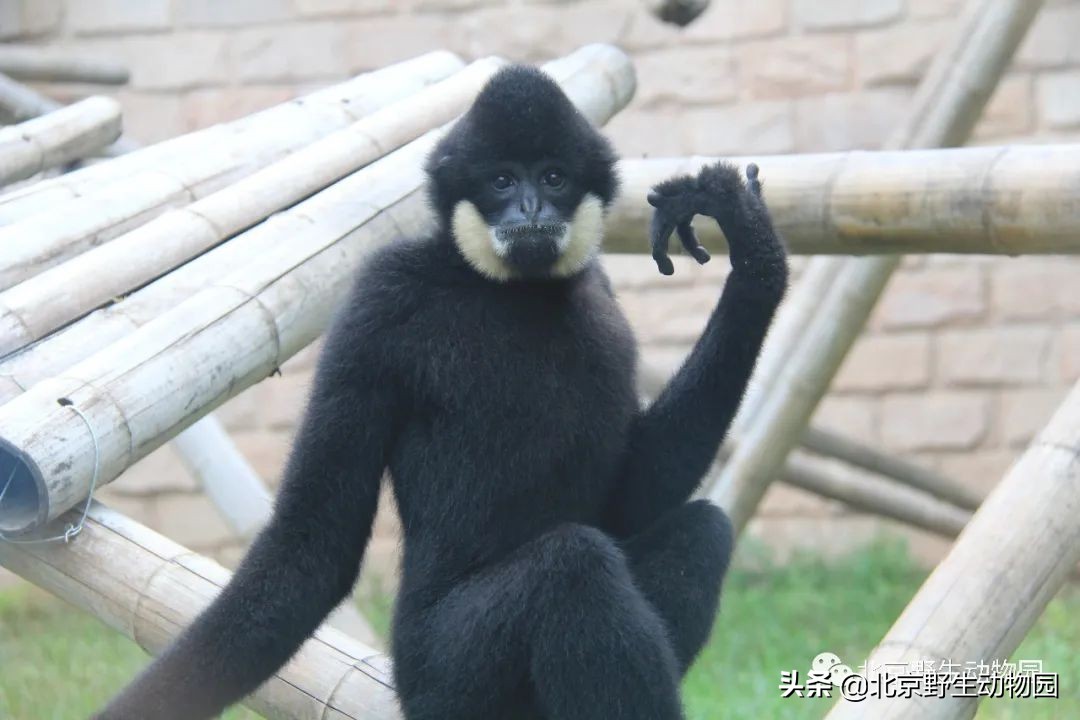 我的“欧慨”找不到啦