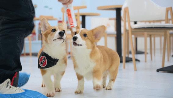 专门摸屁股的店，任摸