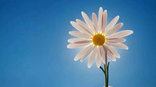 抗击疫情诗歌散文朗诵视频,庚子抗击疫情诗歌