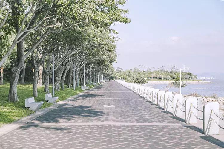 深圳海岸线高清图,深圳比较漂亮的海岸线