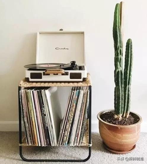 如何买黑胶唱片,怎样买黑胶唱片