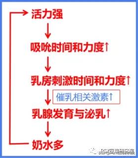 奶水要充盈才会有奶阵吗,奶水需要每次吸干净吗
