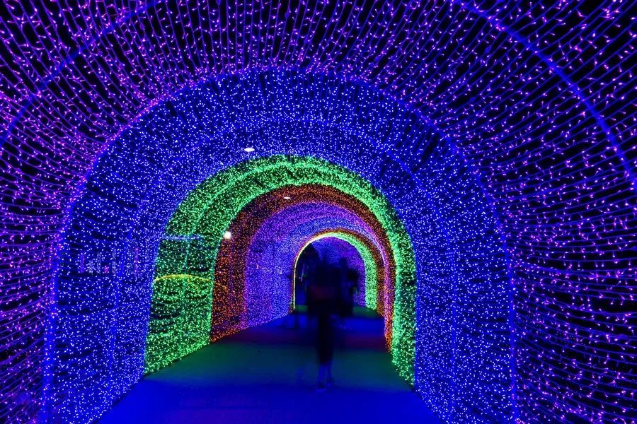 亚龙湾国际玫瑰谷灯光节,三亚亚龙湾跨年夜