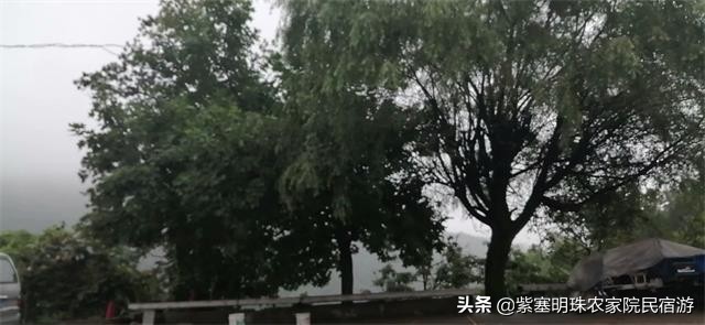 安吉藏龙百瀑山庄,浙江安吉藏龙百瀑民宿推荐