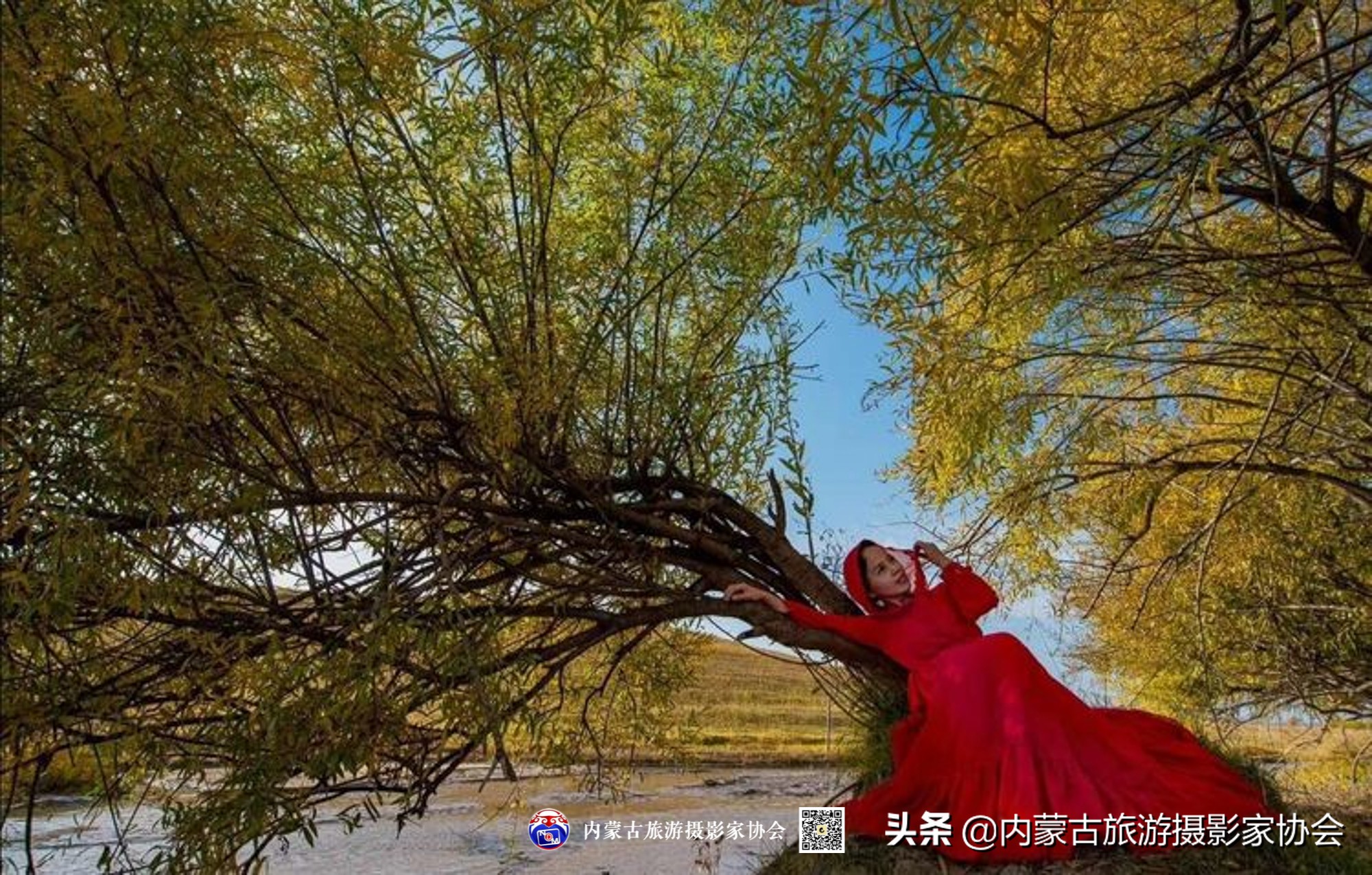 那山那水那滋味,那山那水那份爱