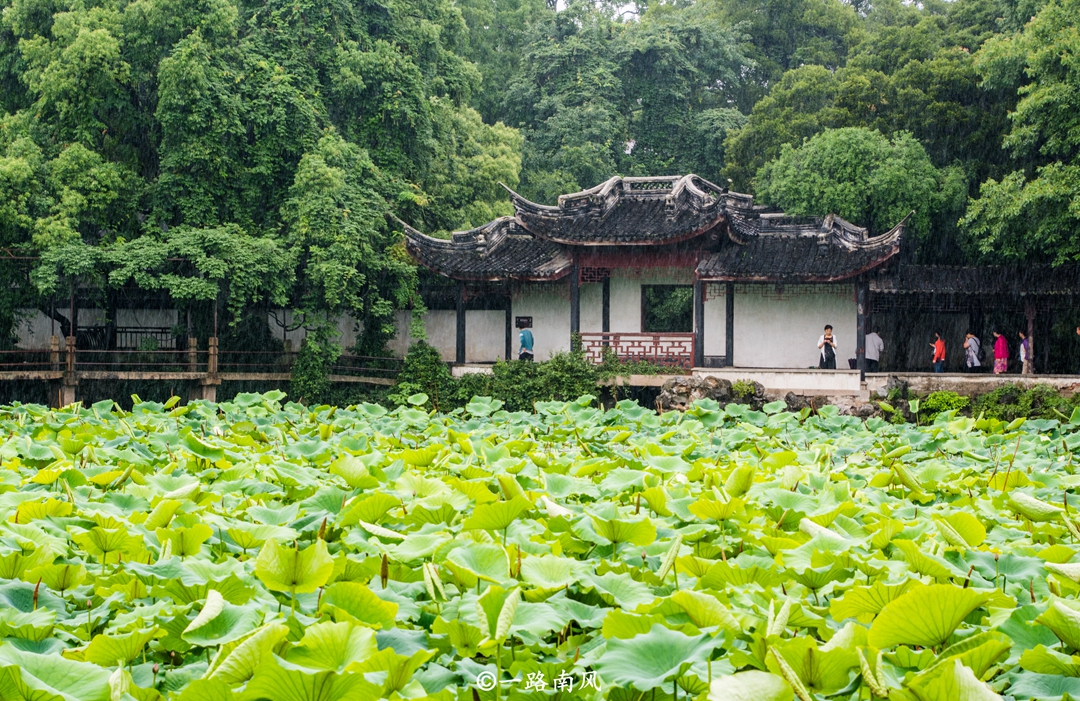 浙江南浔古镇和西塘古镇近吗,南浔为什么没有西塘名气大
