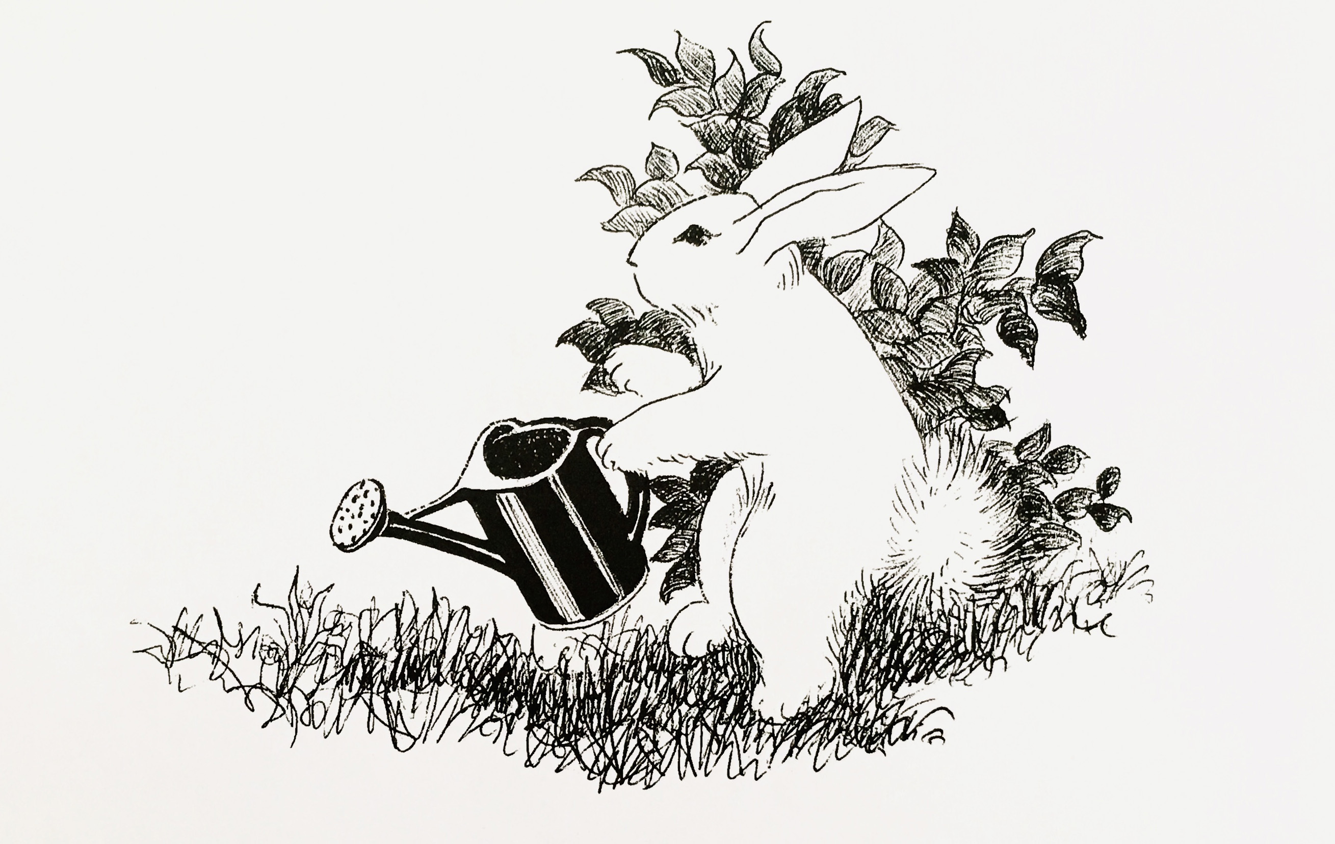 17张一只铅笔就搞定的黑白插画，画风简单，100年来却让人着迷