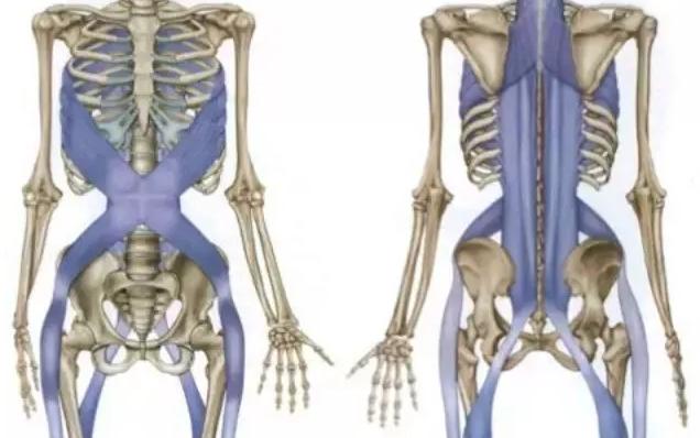 腰椎间盘突出治疗思路及方法图解,人体腰椎从侧面看是突出的