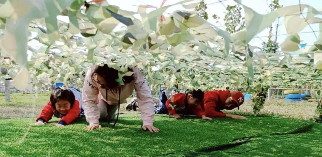 爱与美食不可辜负之繁忙蜜蜂幼儿园、超高的性价比、乐园式环境！