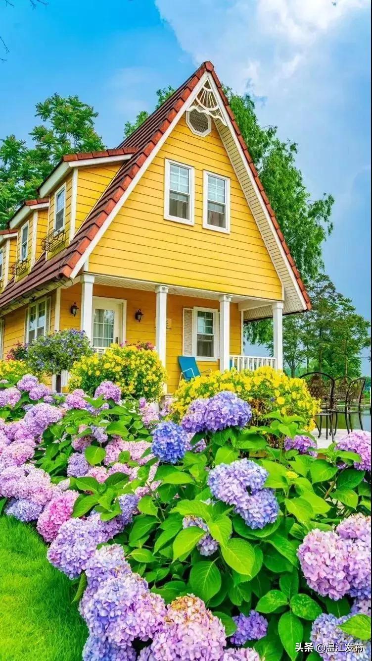 金温江国际水球赛开赛在即，点击领取门票！