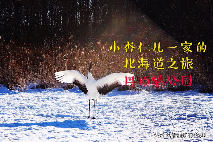 雪国和冰雪,雪国旅游