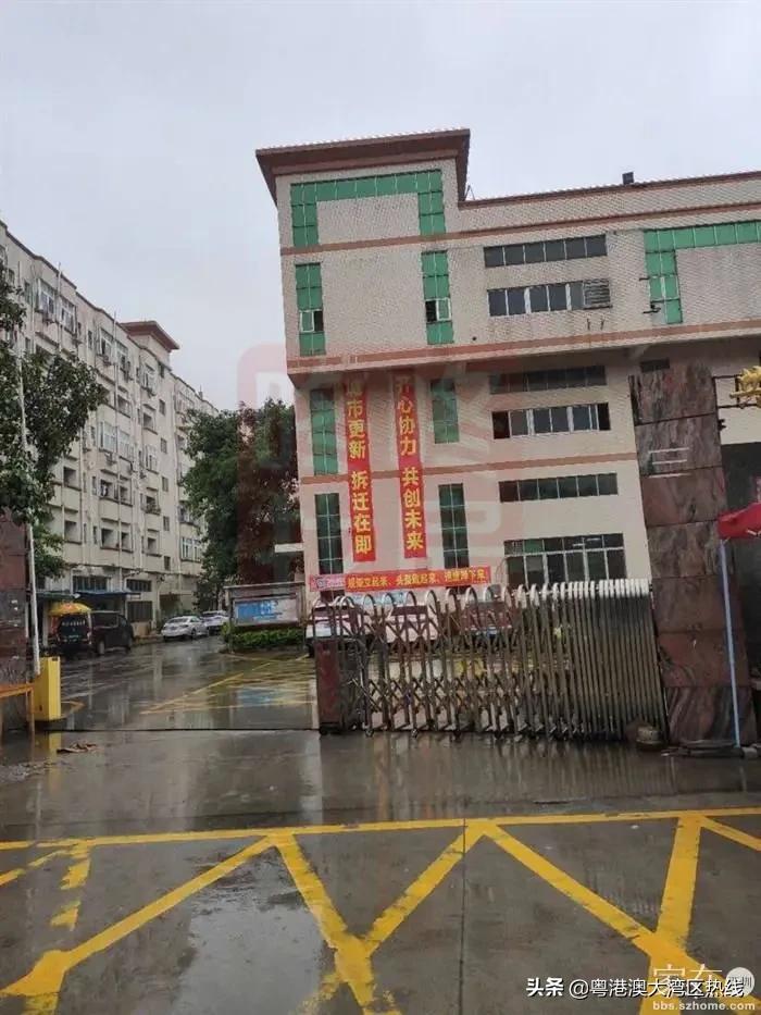 高端商住区旧改,网红片区新楼盘