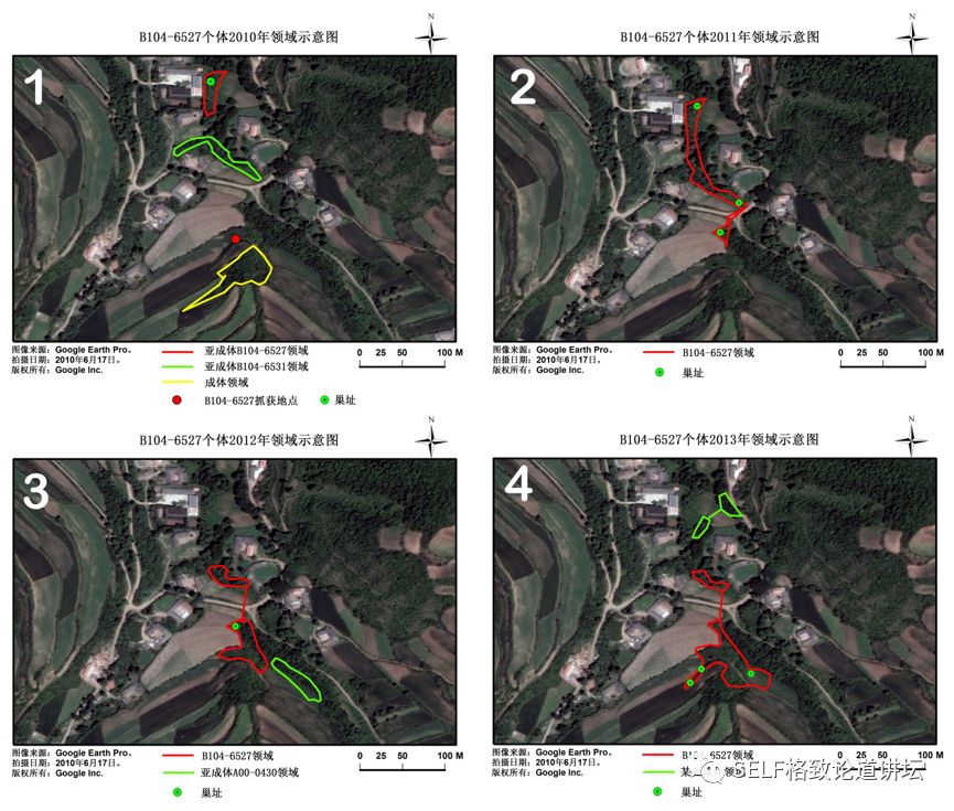 科学家如何观察植物,鸟类的研究方法