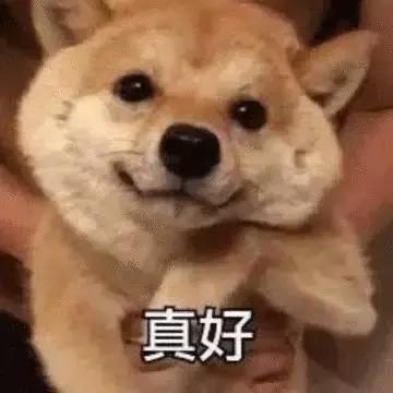 女装大佬防骗指南,女装大佬攻略手册