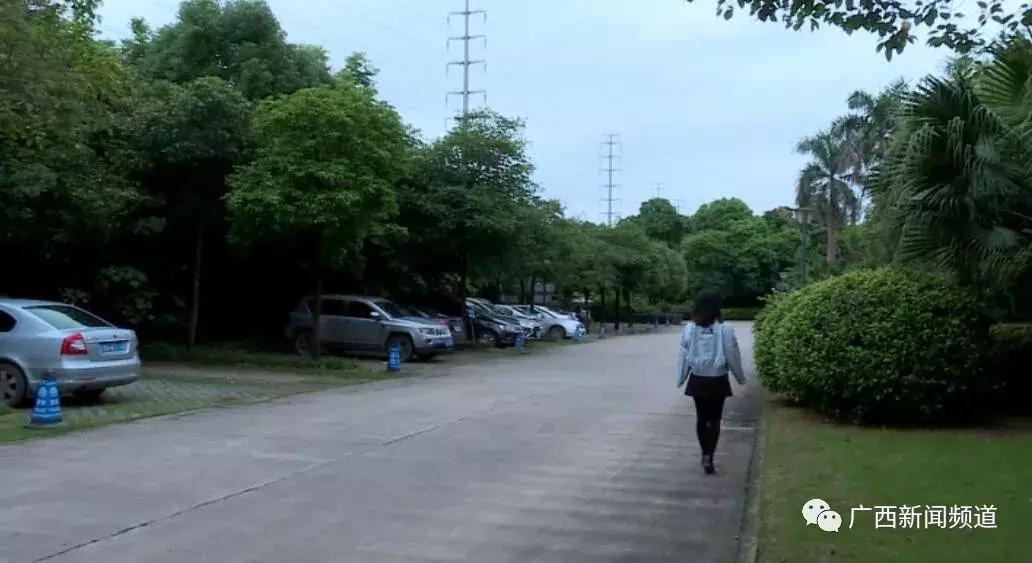 游客被毒蛇咬伤怎么处理,广西一名男子被五毒蛇咬伤