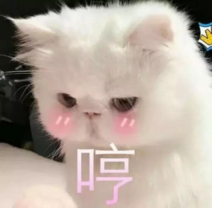 情人节你最想得到什么礼物,情人节你最想收到的礼物