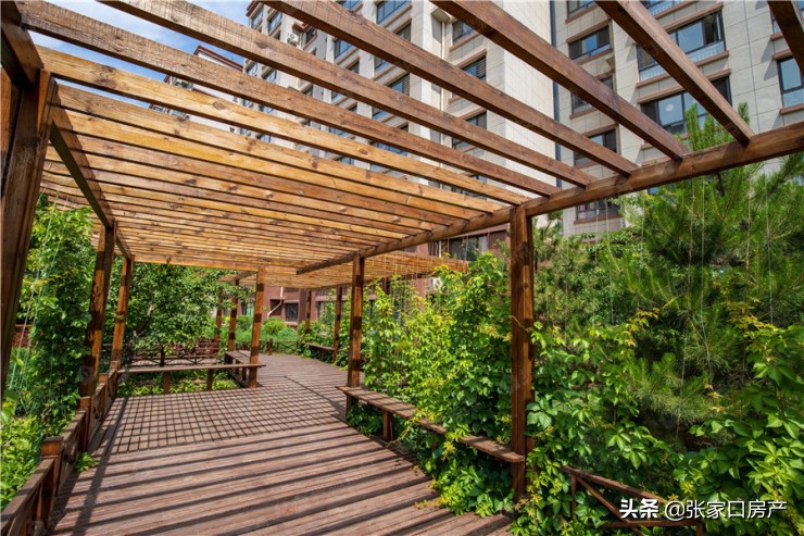 吹爆！经开区新楼盘远低于万元门槛，多所学校环绕，购房就送车位