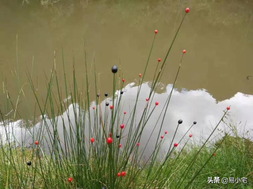 阿土｜荒野生活/从城市白领到山中野人