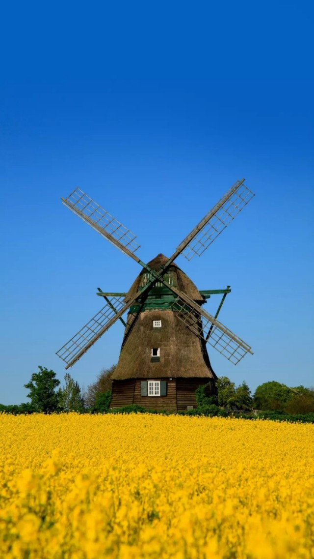 赚钱超清手机壁纸,4k超清风车手机壁纸