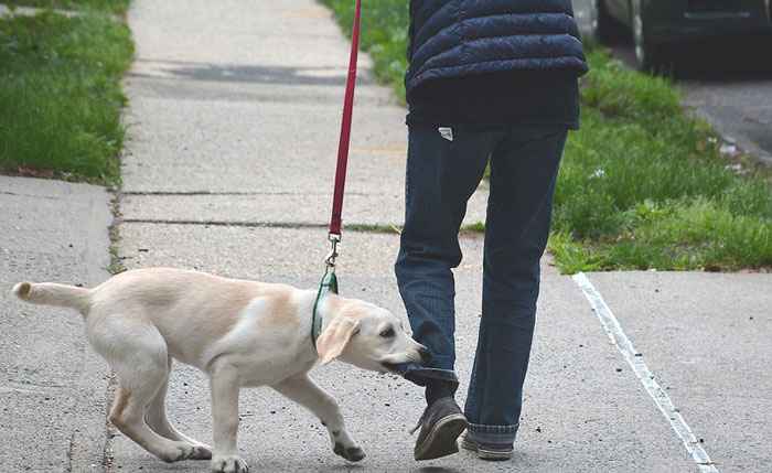 歪果网友分享自己暂时逃避现实的方法，压力大时可以试试了