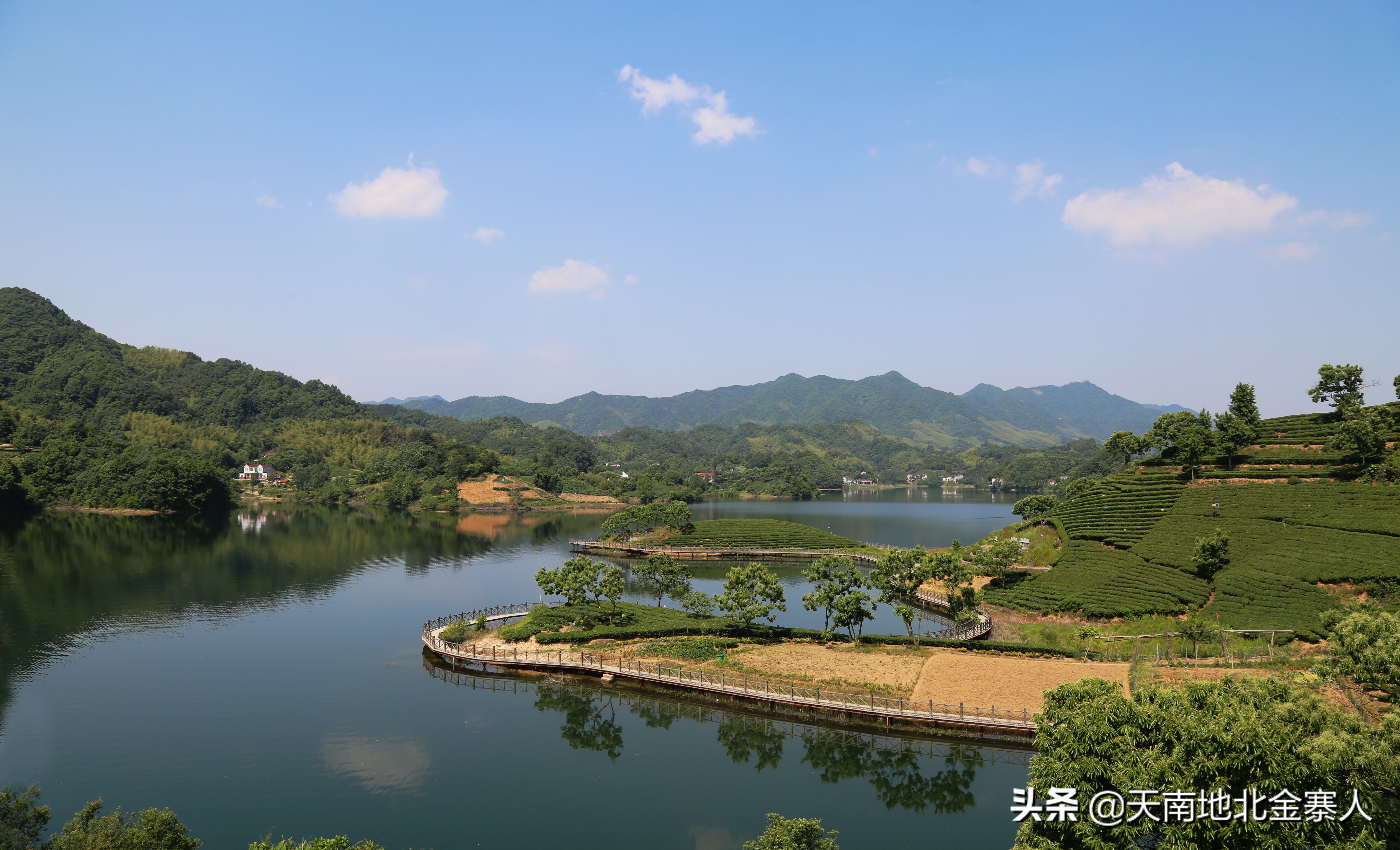 你好我叫王思聪微博截图,你好我叫阿杰