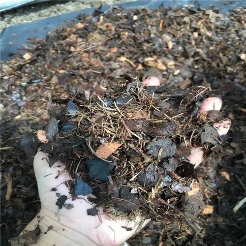 柴草可以做肥料吗,柴草专用肥