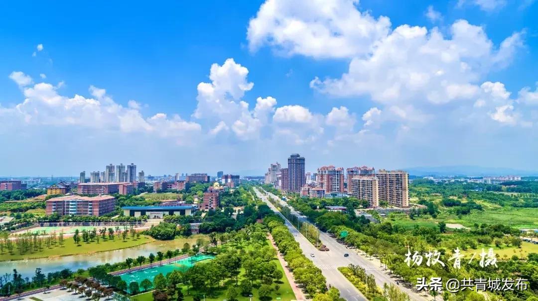 从a到z的成长,从a到z爱上茶的理由