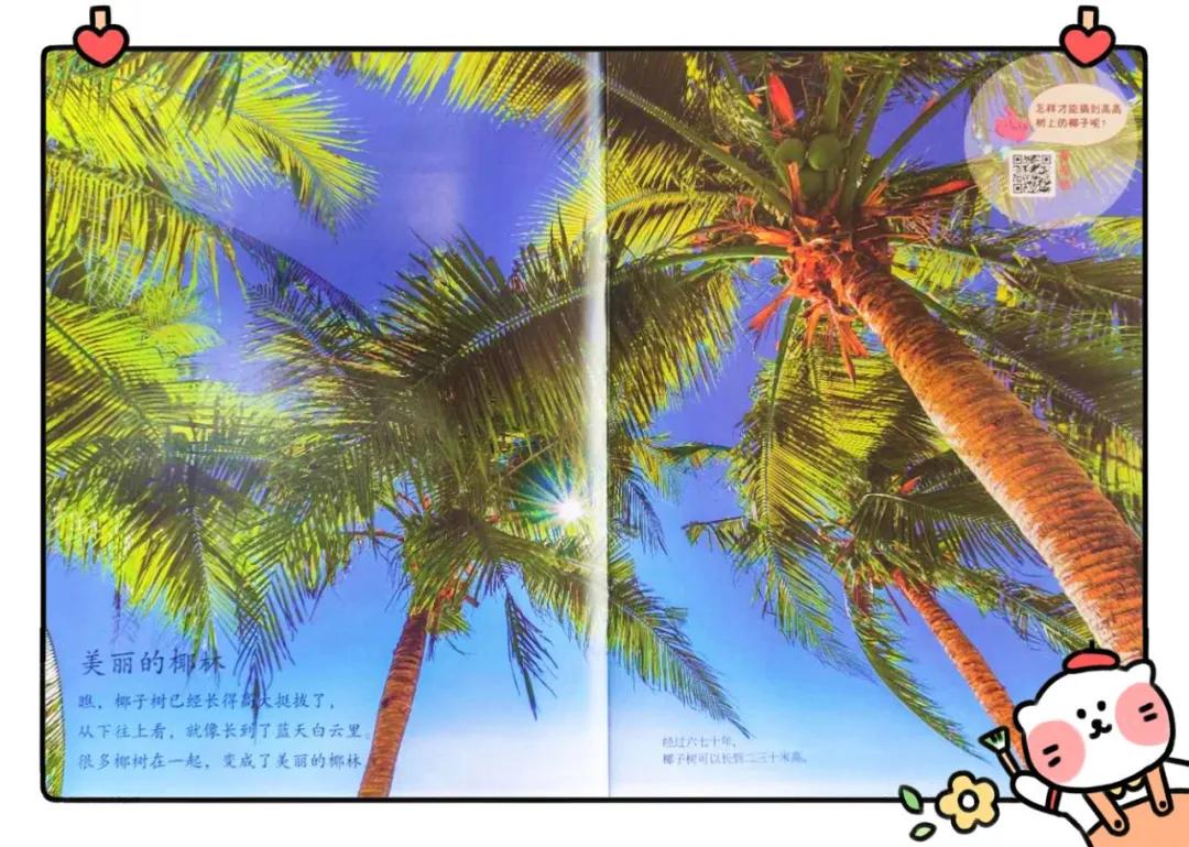 儿童科普杂志排名,最好的儿童科普杂志