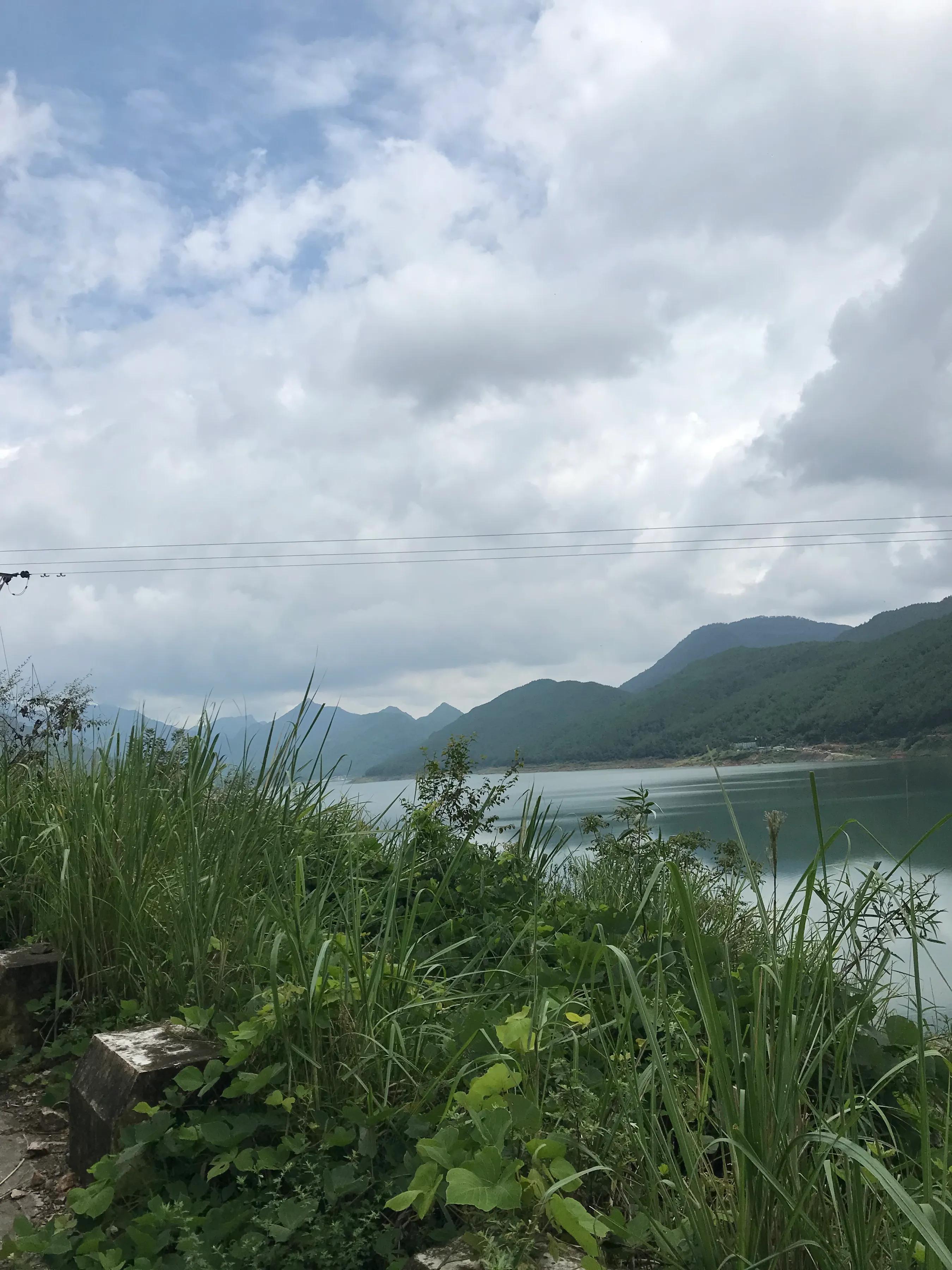 山远近路横斜读音,山远近路横斜青旗沽酒有人家意思