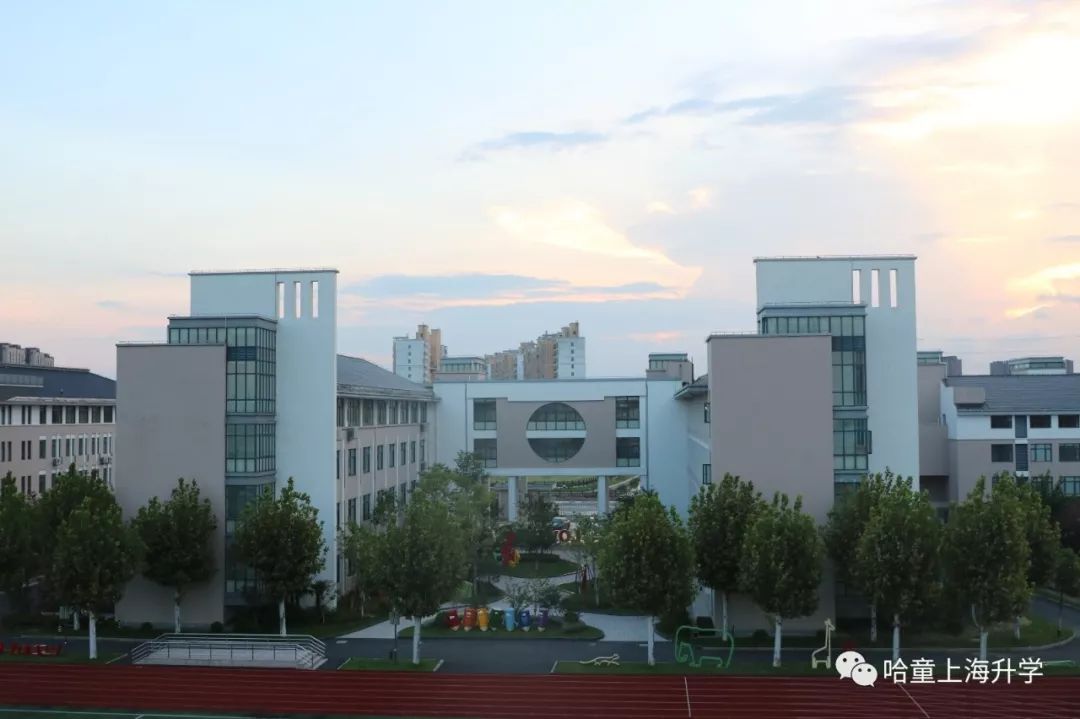 张江学区小学,张江小学学区划分