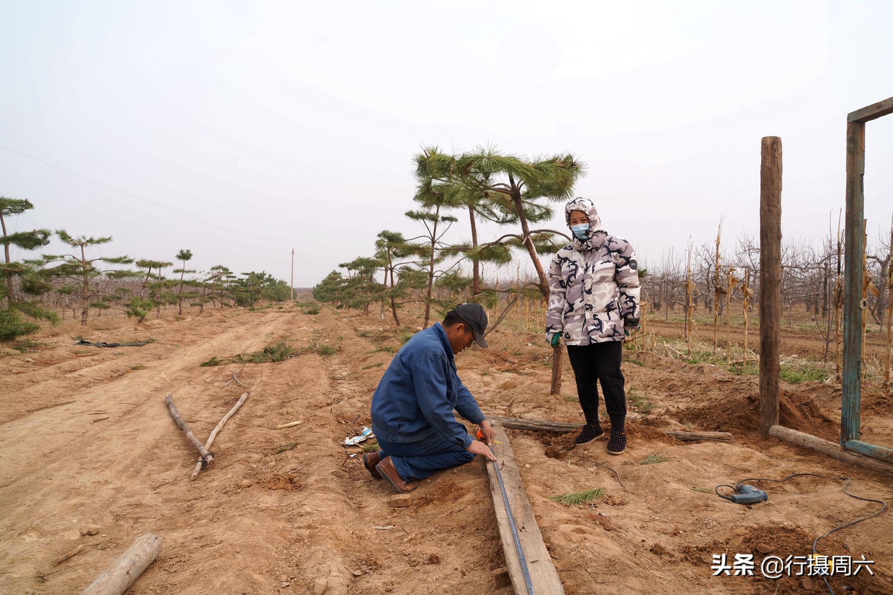 农村小伙创业项目大全视频,山西农村创业项目种植