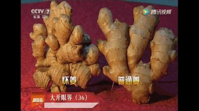 怀姜糖膏每天一杯,做怀姜糖膏