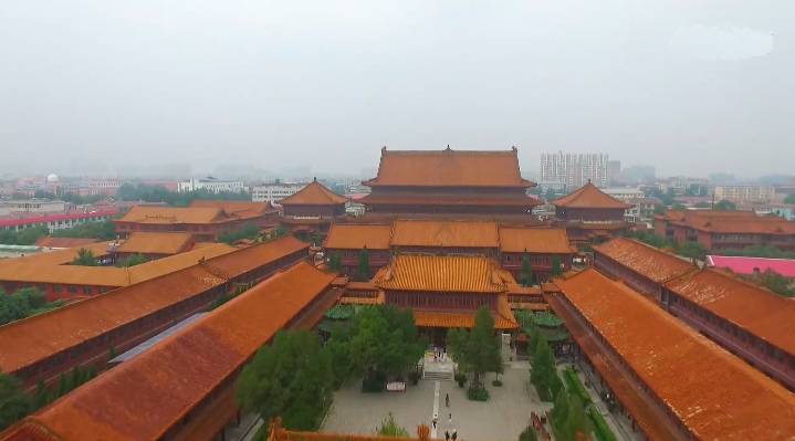 赵县柏林禅寺入住多少钱,去柏林禅寺累吗