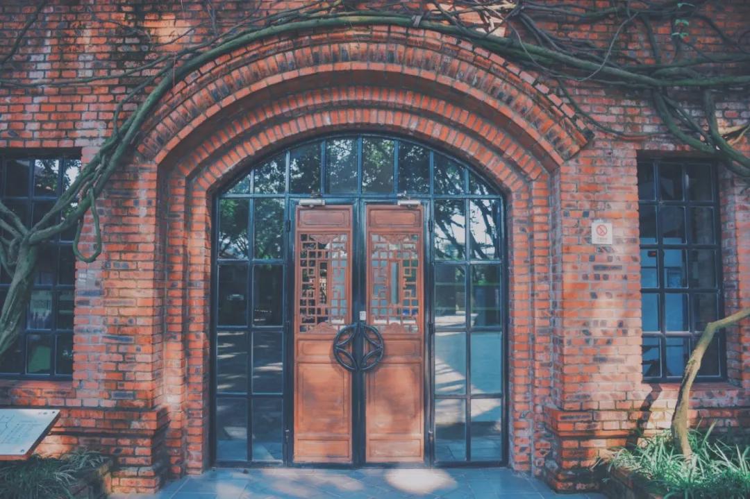 四川国际标榜学院的王牌专业,四川国际标榜职业学院网红