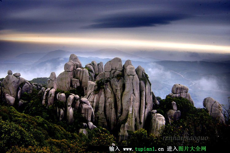 贺测亮随笔：三品话人生诵读：紫竹