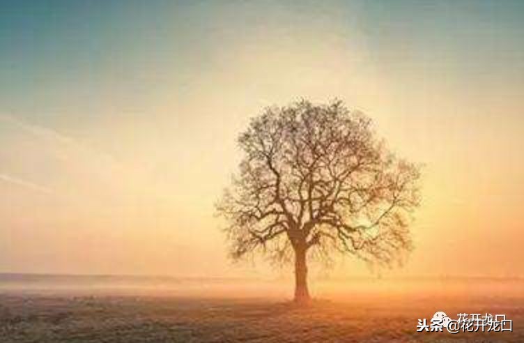 不要把话说得太满了,七甲镇王洪莲照片