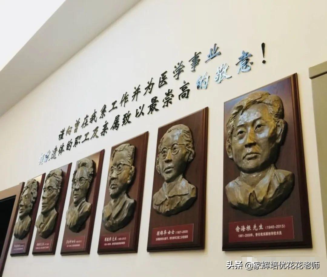 在复旦就读体验,在复旦大学读书是什么体验