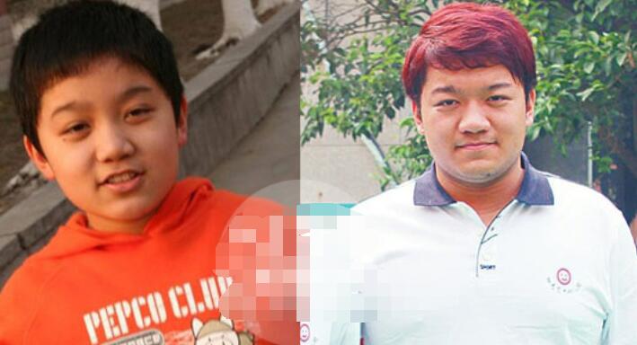 还珠格格与流星花园,还珠格格流星花园